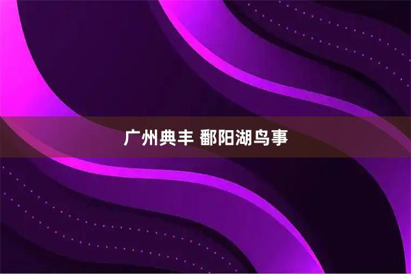 广州典丰 鄱阳湖鸟事