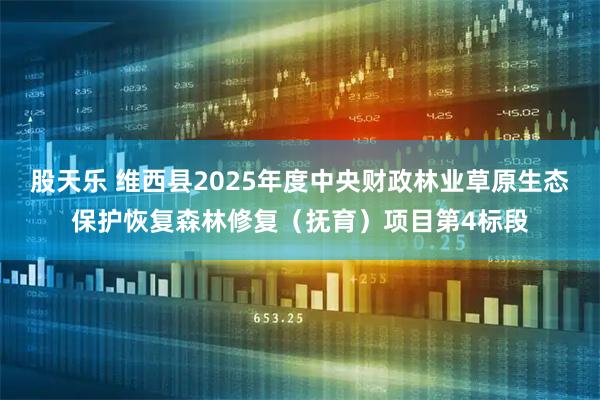 股天乐 维西县2025年度中央财政林业草原生态保护恢复森林修复（抚育）项目第4标段