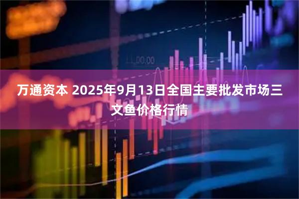 万通资本 2025年9月13日全国主要批发市场三文鱼价格行情