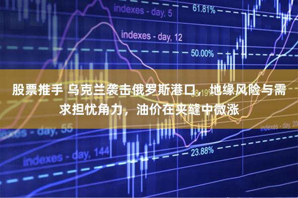 股票推手 乌克兰袭击俄罗斯港口，地缘风险与需求担忧角力，油价在夹缝中微涨