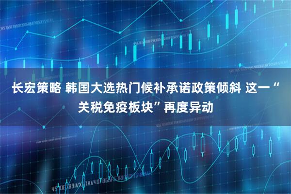 长宏策略 韩国大选热门候补承诺政策倾斜 这一“关税免疫板块”再度异动