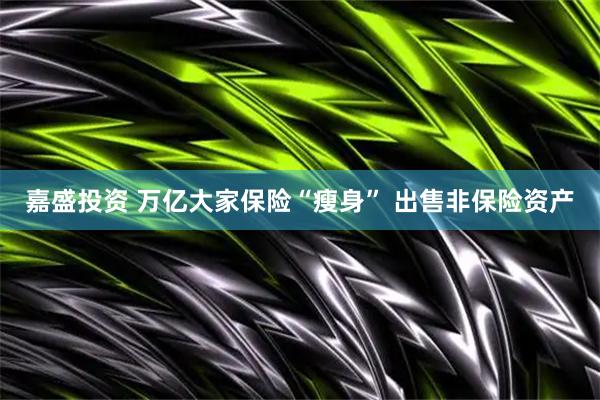 嘉盛投资 万亿大家保险“瘦身” 出售非保险资产