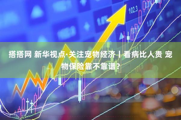 搭搭网 新华视点·关注宠物经济丨看病比人贵 宠物保险靠不靠谱？