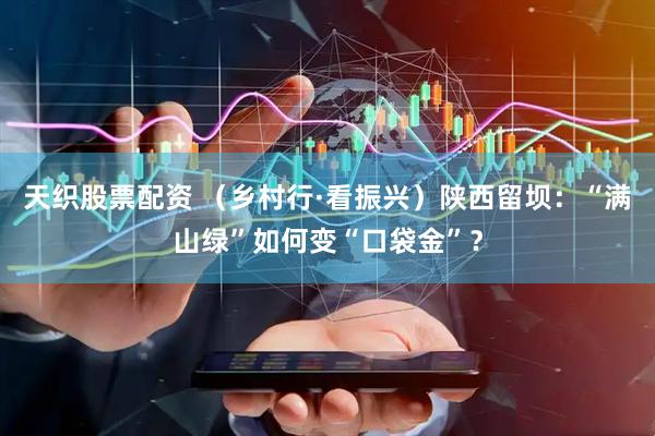 天织股票配资 （乡村行·看振兴）陕西留坝：“满山绿”如何变“口袋金”？