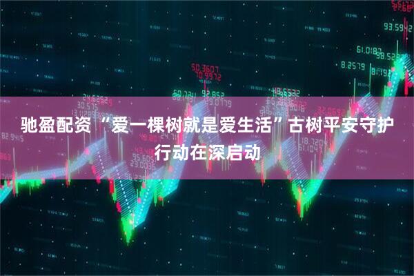 驰盈配资 “爱一棵树就是爱生活”古树平安守护行动在深启动