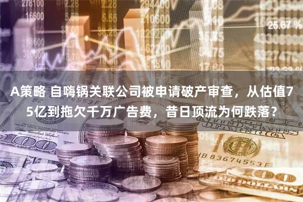 A策略 自嗨锅关联公司被申请破产审查，从估值75亿到拖欠千万广告费，昔日顶流为何跌落？