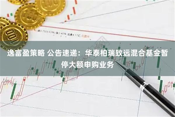 逸富盈策略 公告速递:华泰柏瑞致远混合基金暂停大额申购业务